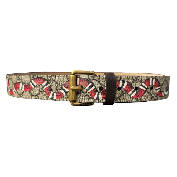 Gucci GG Supreme Kingsnake Brown Belt