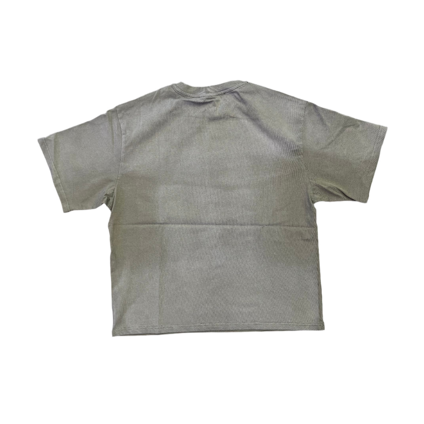 Saint Vanity Griffin Tee Green Dissolve