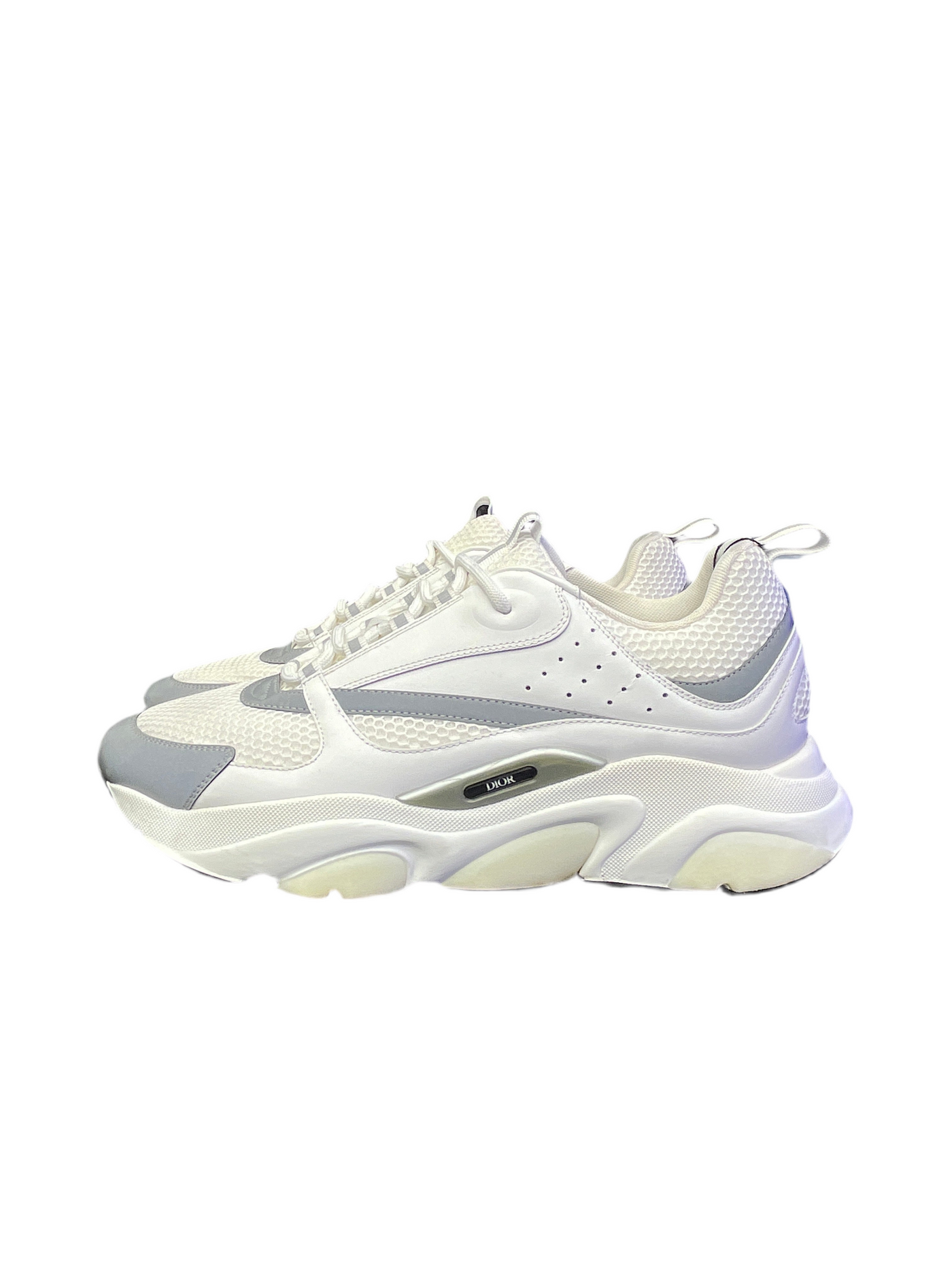 Dior B22 White Silver