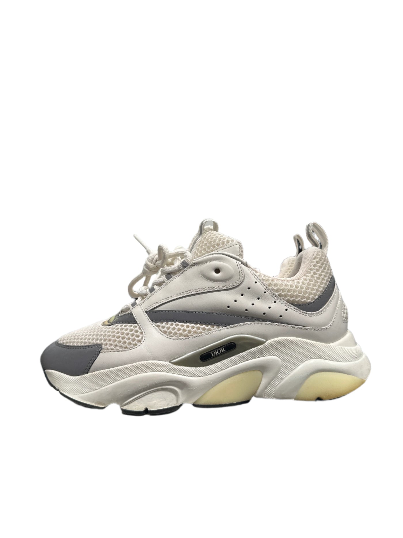 Dior B22 White Silver