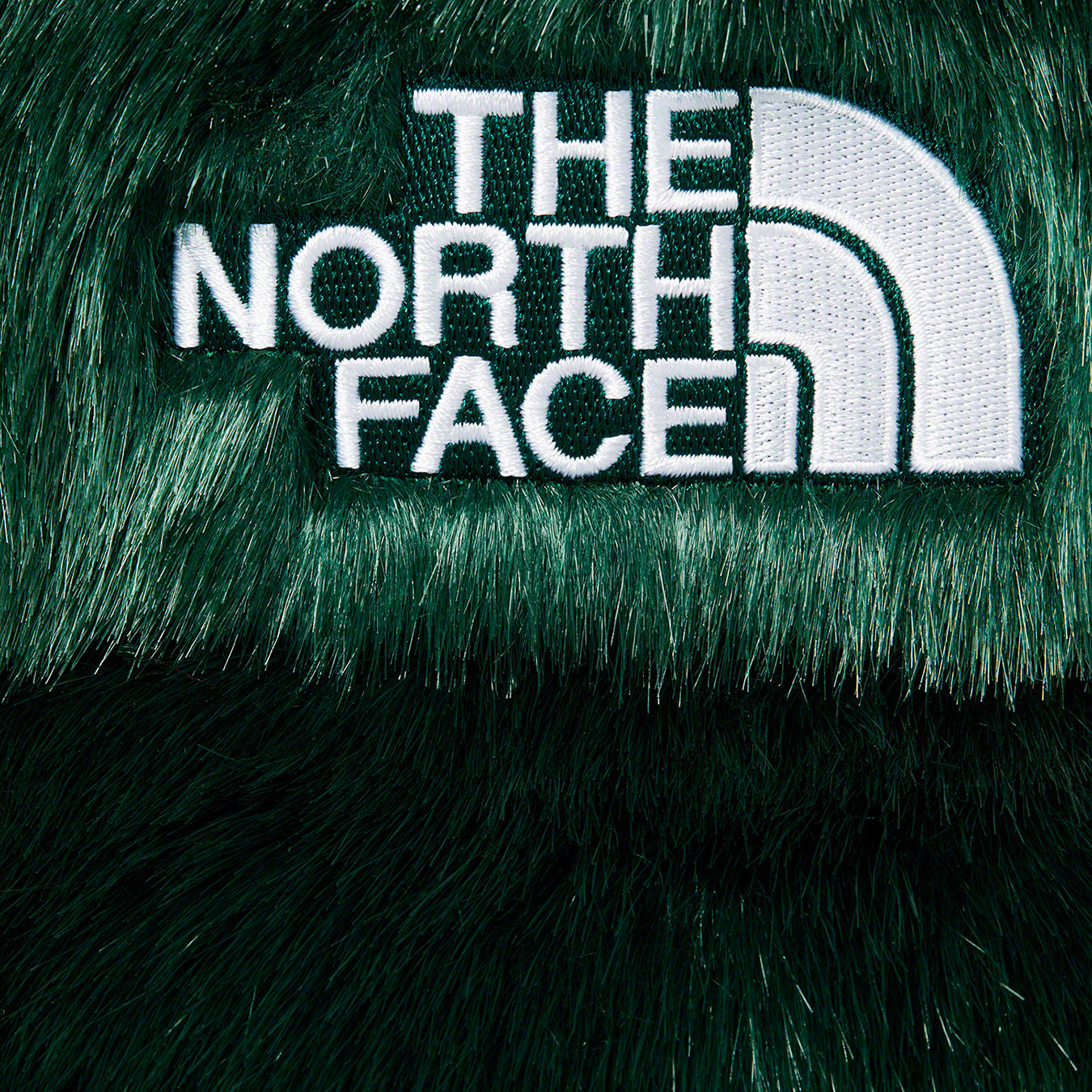 Supreme x The North Face TNF Faux Fur Nuptse Green Jacket