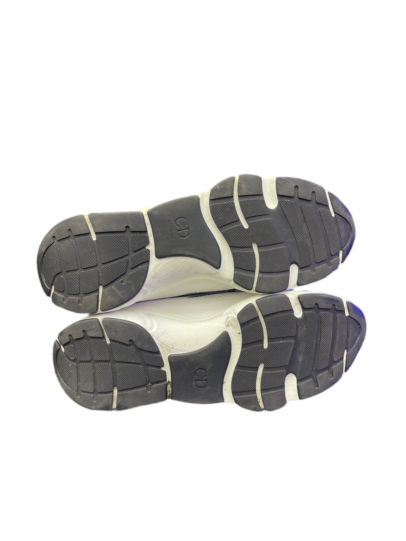 Dior B22 White Silver