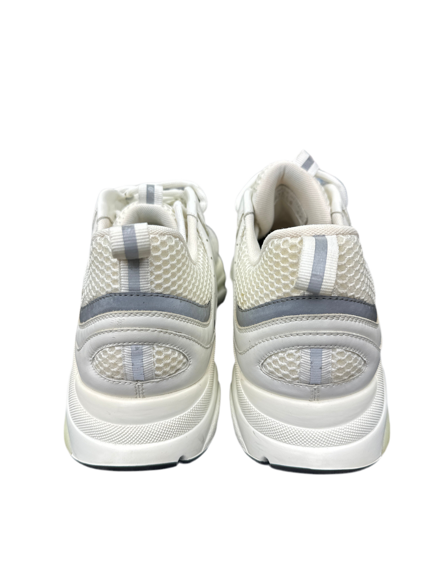 Dior B22 White Grey