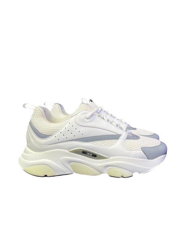 Dior B22 White Silver