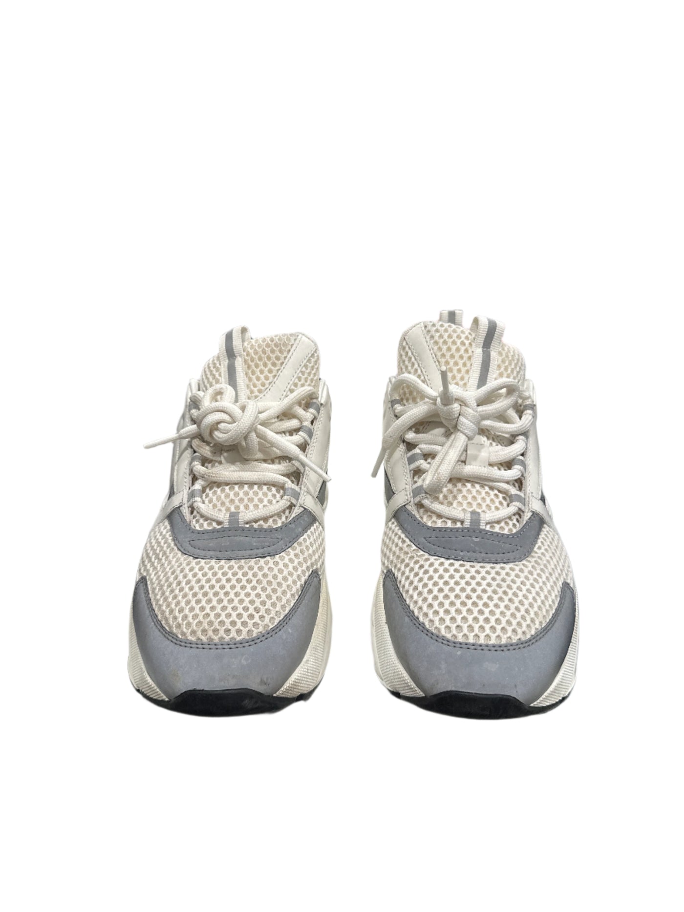 Dior B22 White Silver