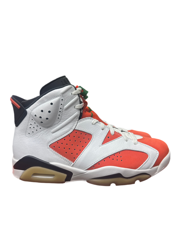 Nike Air Jordan 6 Gatorade