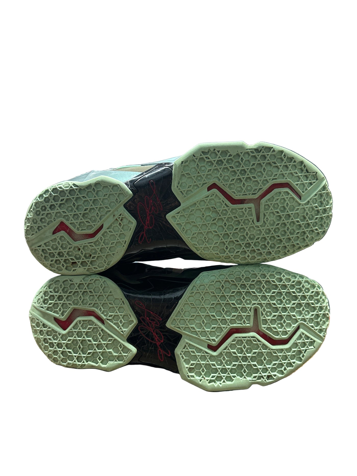 Nike LeBron 11 King’s Pride