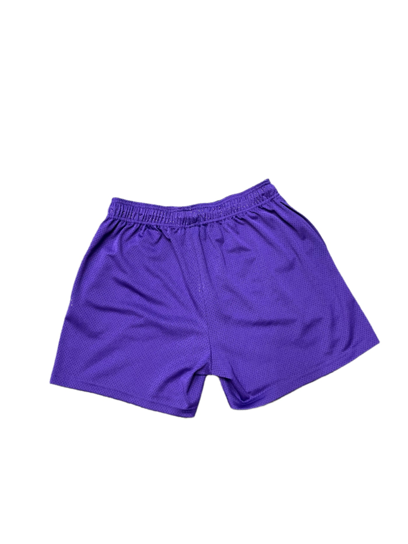 Eric Emanuel EE Basic Shorts Purple Yellow