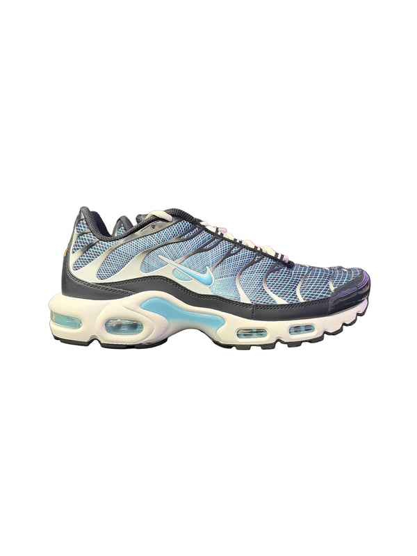 Nike Air Max Plus Dark Obsidian