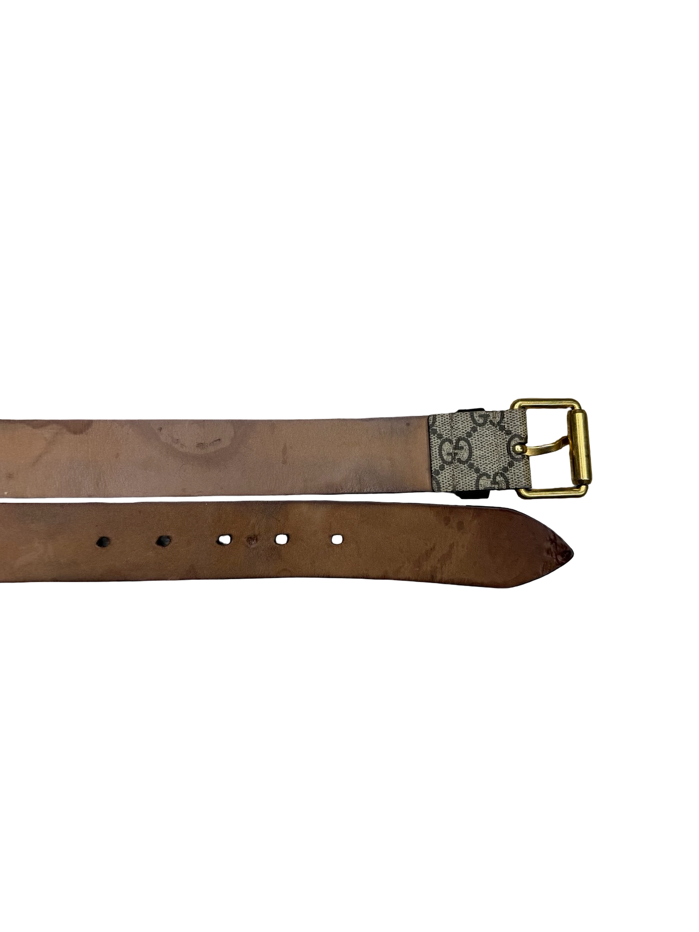 Gucci GG Supreme Canvas Kingsnake Belt
