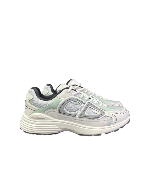 Dior B30 Reflective Grey Light Green