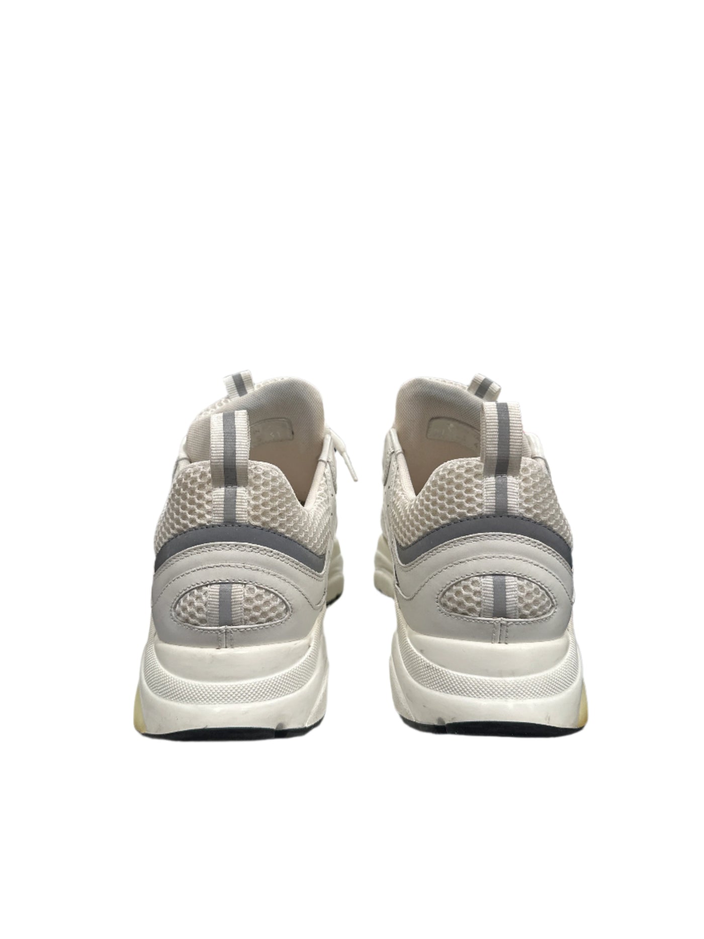 Dior B22 White Silver