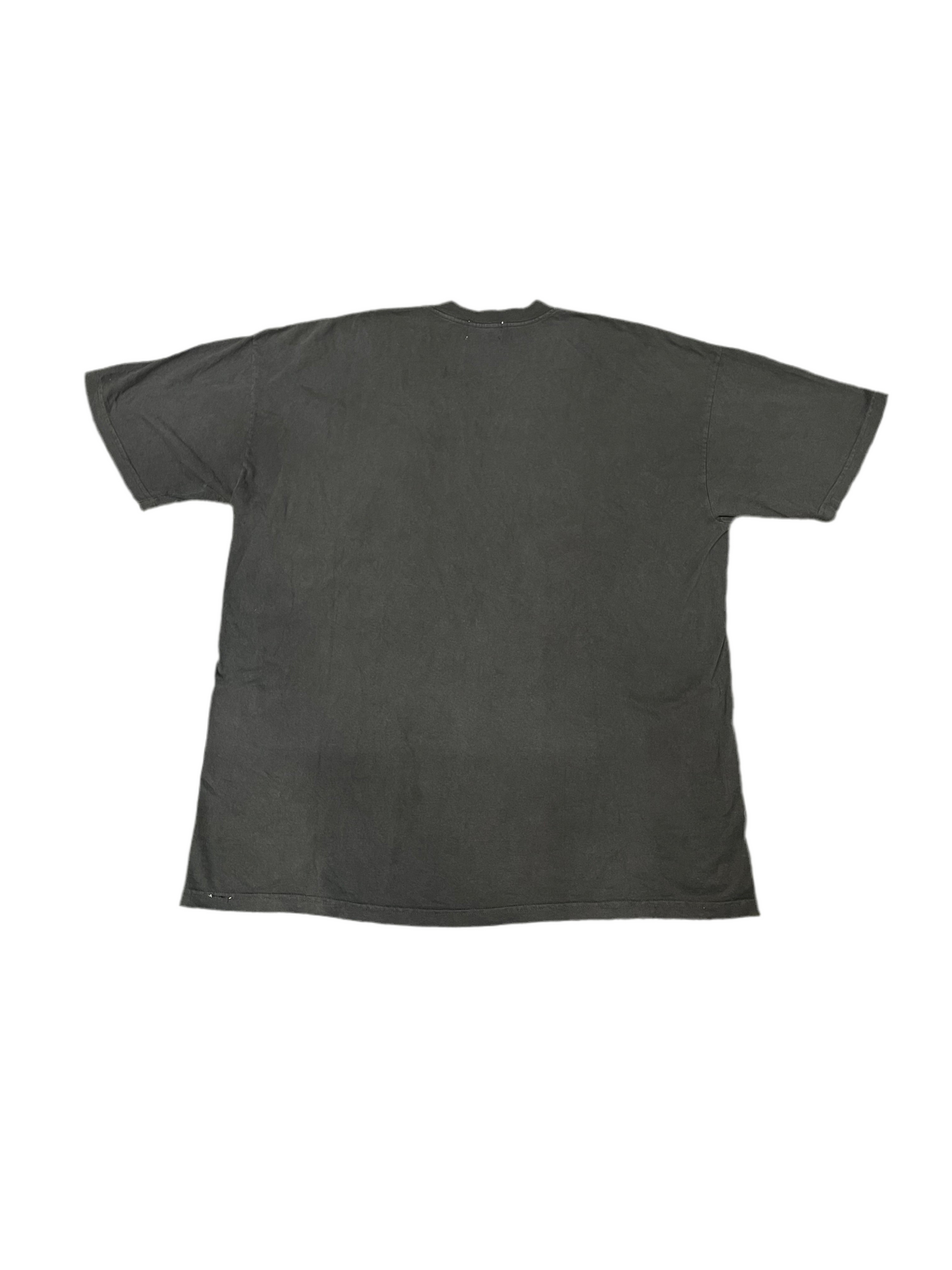 Warren Lotas Pink Skulls T-Shirt Grey