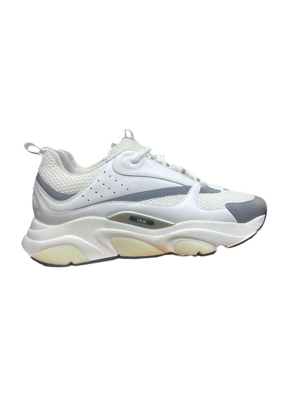 Dior B22 White Silver