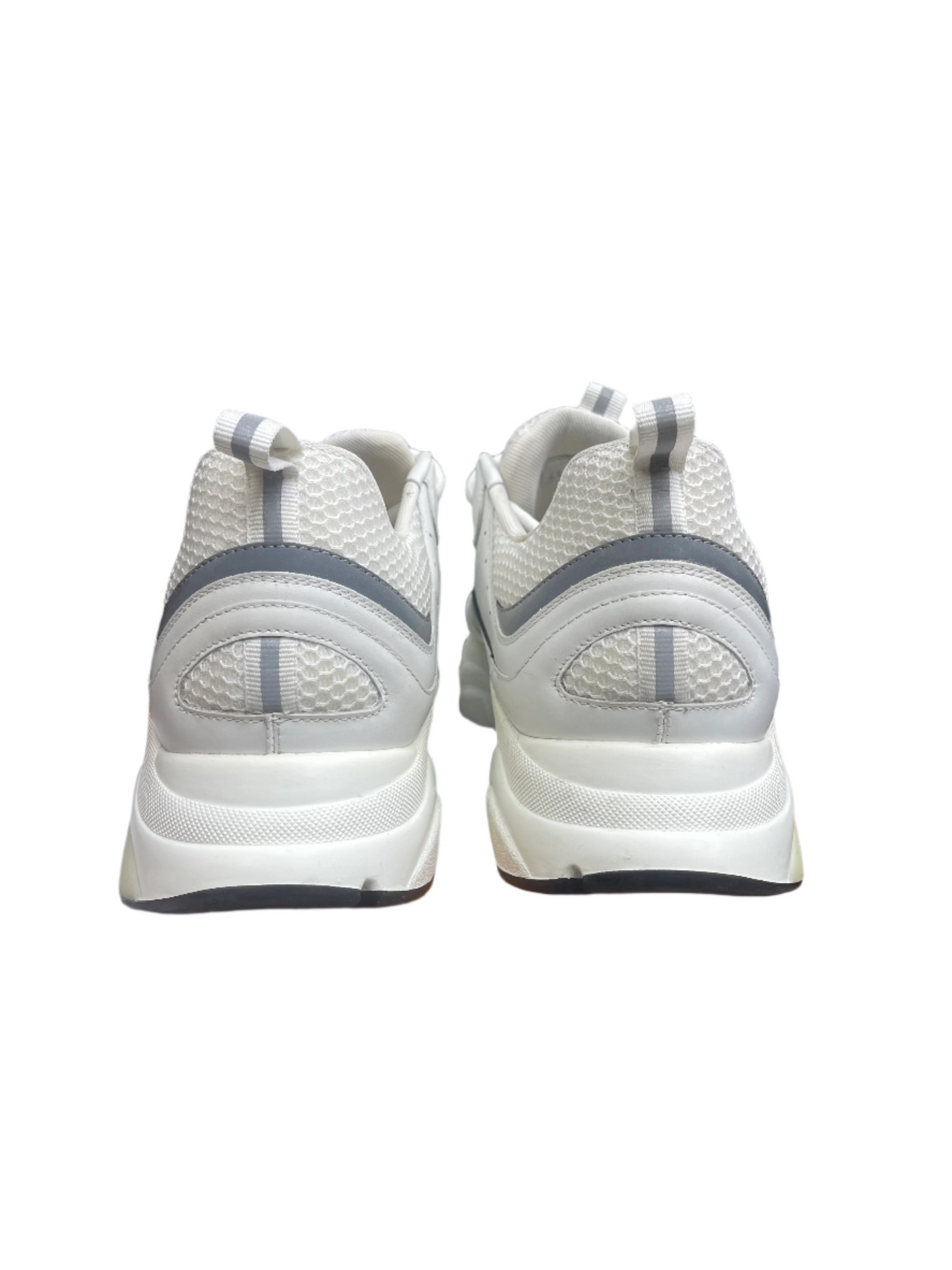 Dior B22 White Silver