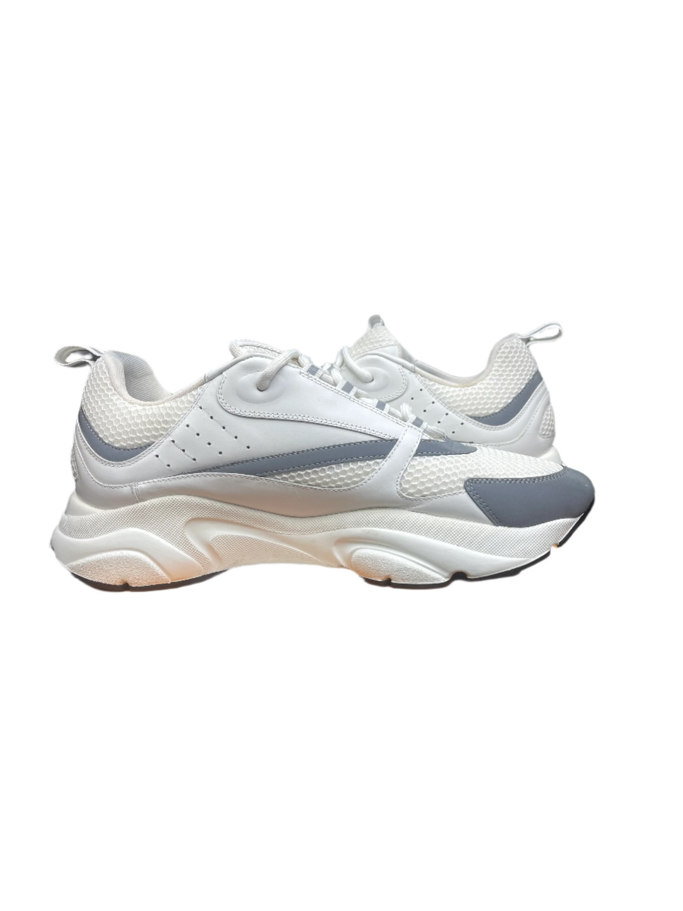 Dior B22 White Silver