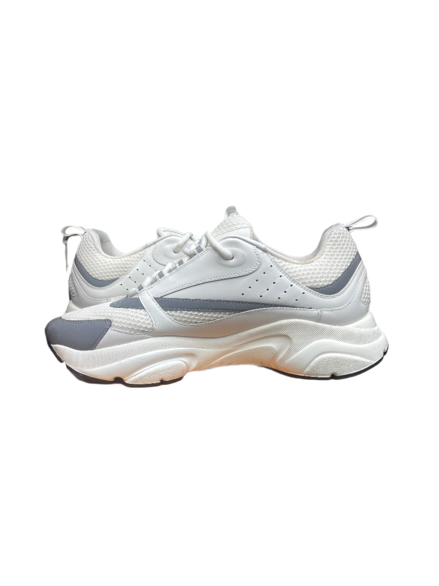 Dior B22 White Silver
