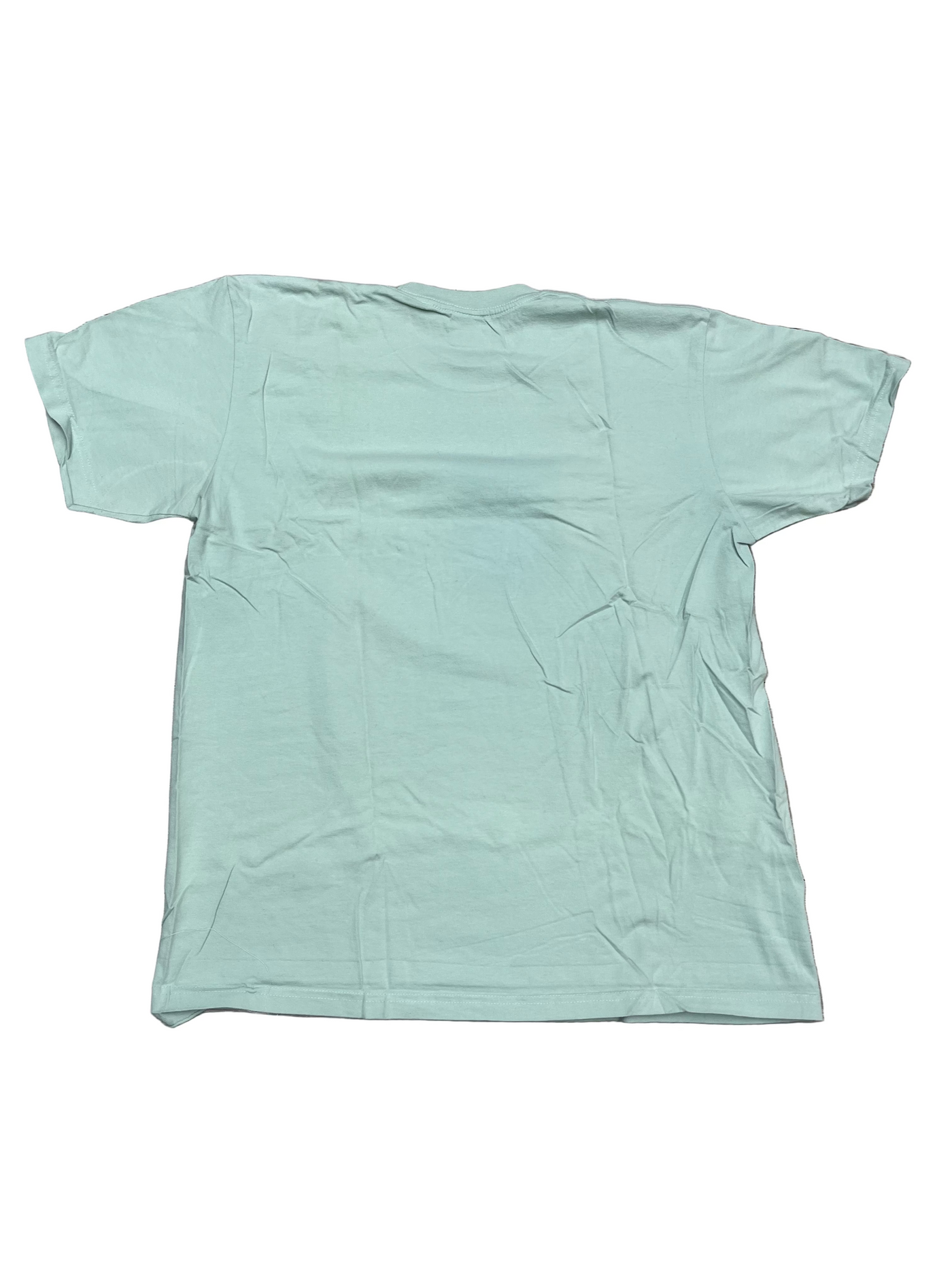Supreme Ear T-Shirt Pale Aqua