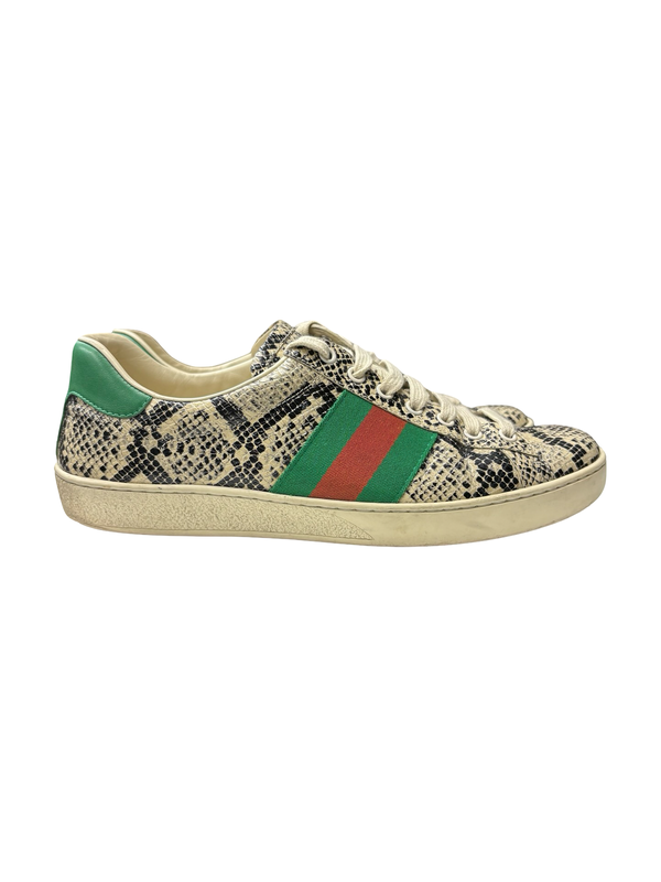 Gucci Ace Low-Top Sneakers Python Print