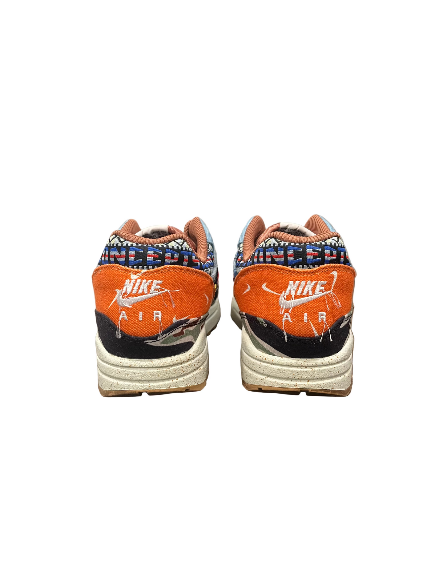 Nike Air Max 1 SP Concepts Heavy
