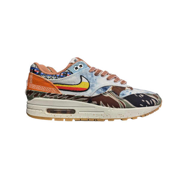 Nike Air Max 1 SP Concepts Heavy