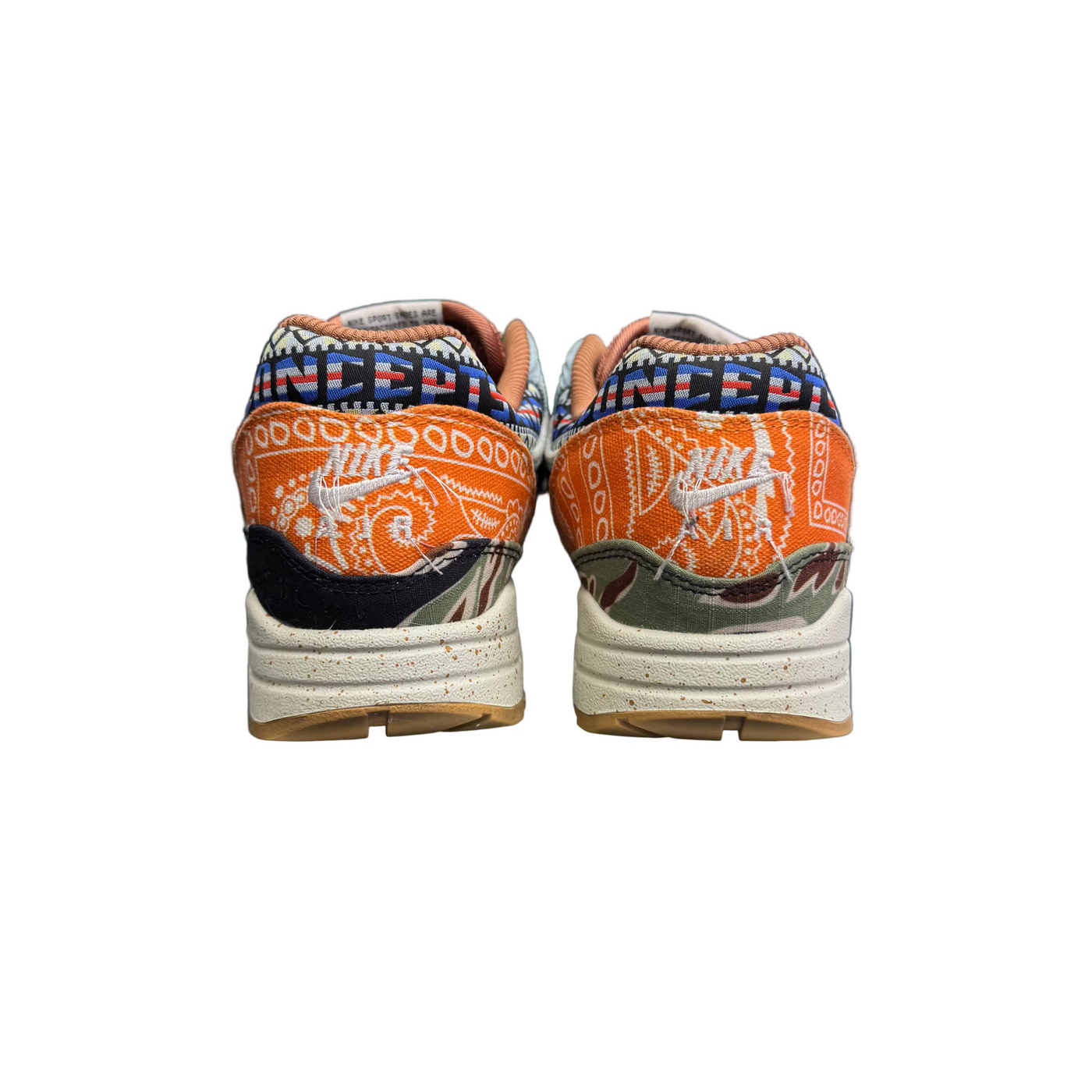 Nike Air Max 1 SP Concepts Heavy